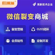 Small Programs Shang City Development Public Number Custom Website Making Shopping Building APP Points Platform 500-5