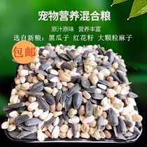 Parrot bird food safflower seed large granules hemp seed black melon seeds Xuan Feng small sun monk mixed bird food five pounds pigeon food