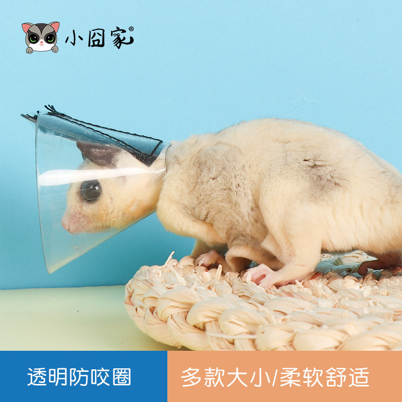 Squirrel Elizabeth ring honey bag glider flower branch mouse anti-bite ring hamster bath medicine small pet supplies transparent neck ring