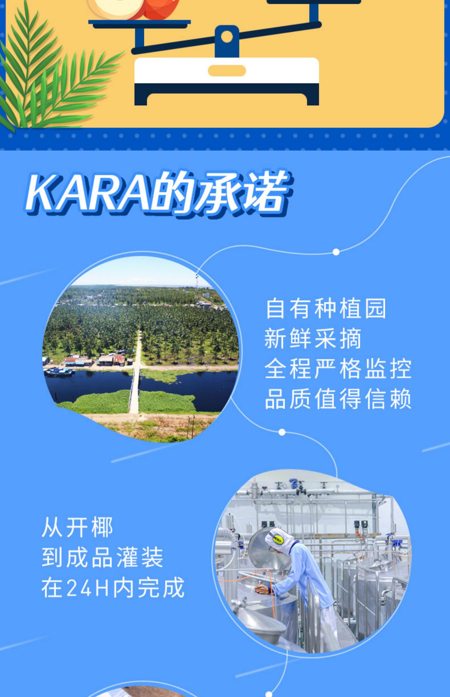 KaraCoco椰子水1L*12整箱