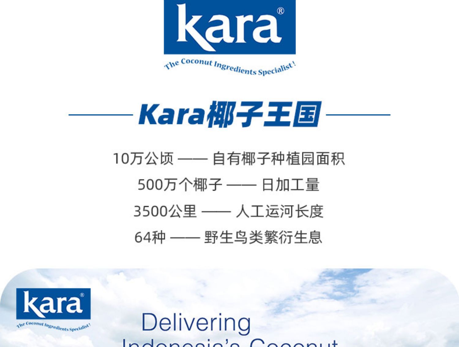 【Kara】椰浆330ml*4佳乐无添加奶茶店专用