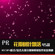 Petal flower tree leaves falling special effects beautiful maple leaf dynamic video material Rose support AE pr fcpx