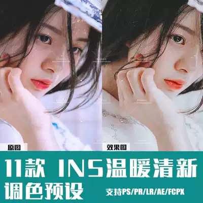 Portrait finishing preset color grading PS Small fresh warm PR FCPX LUT Mobile phone color grading ACR filter LR preset