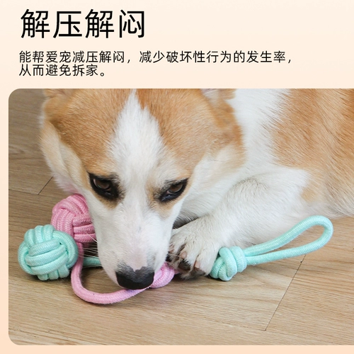 Игрушки для игрушек для собак, игрушки с золотистыми ретривером, маленькие, средние большие, плюшевые щенки, щенки, щенки, нечистые товары для домашних животных.