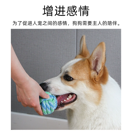 Игрушки для игрушек для собак, игрушки с золотистыми ретривером, маленькие, средние большие, плюшевые щенки, щенки, щенки, нечистые товары для домашних животных.