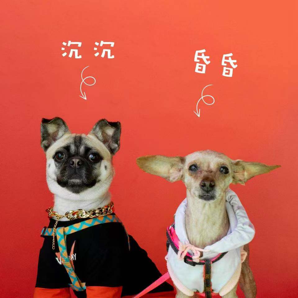 昏昏沉沉的日子的LOGO