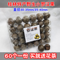 Wild Luo Han Guo small fruit produced in Yongfu Guilin Guangxi 60 pieces in bulk free scented tea and dried fruit with purchase