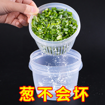 Scallion and garlic ginger storage box refrigerator fresh-keeping box household food plastic sealed box kitchen food egg storage artifact