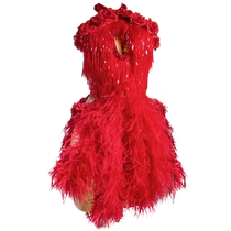Xia Qimei Latin dance competition clothing ostrich feather diamond clothing girls performance clothing adult art test 1214 years old and above autumn and winter
