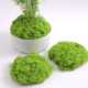 Simulated Moss, Crushed Green Moss, Green Plants, Micro-Landscape, Rockery, Lawn, Potted Plants, Bonsai, Storefront Decoration, DIY Ornaments, Decorations