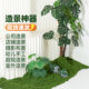 Simulated Moss for Indoor Landscaping Decoration, Versatile Fake Moss Turf, Bonsai Micro-Landscape, Flocking Surface, Artificial Green Plants