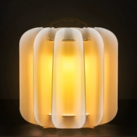 Светляченные тыква тыква Ланша