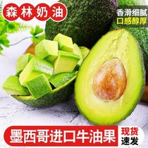 Mexican imported varieties of avocados 15 fresh fruits ripe and ready-to-eat in season large and sweet avocados whole box