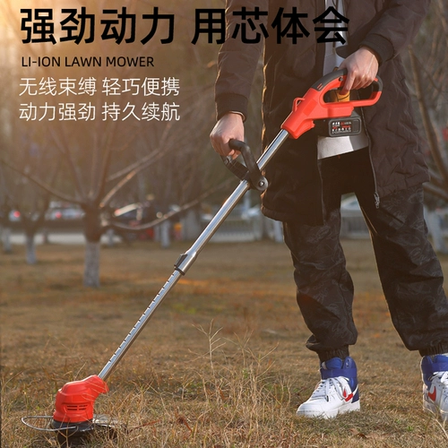 Электрические перезаряжаемые сельскохозяйственные универсальные литиевые батарейки, Германия