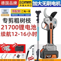 [Рекомендуется для толстых веток] Бесщеточный 8 см [Электронный дисплей] Сильная мощность [2 аккумулятора и 1 зарядка] + телескопическая штанга