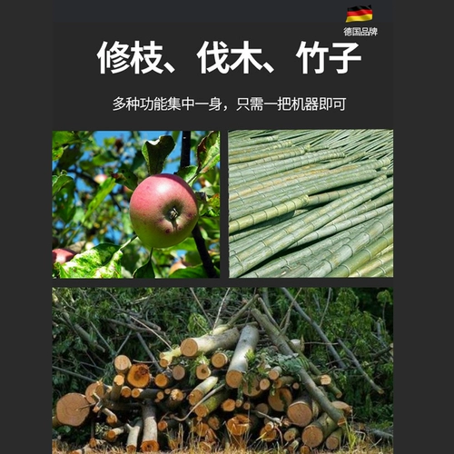 Германия Ouyande Electric High Branches видела, что зарядка на высокой высокой обрезке