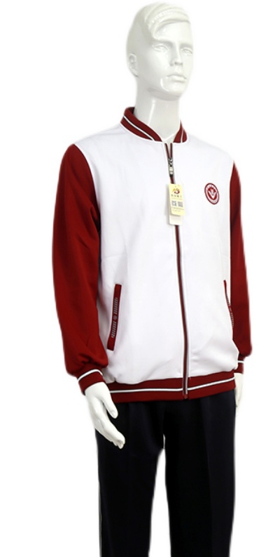 2021 Shijiazhuang Elite Middle School Fall Uniform