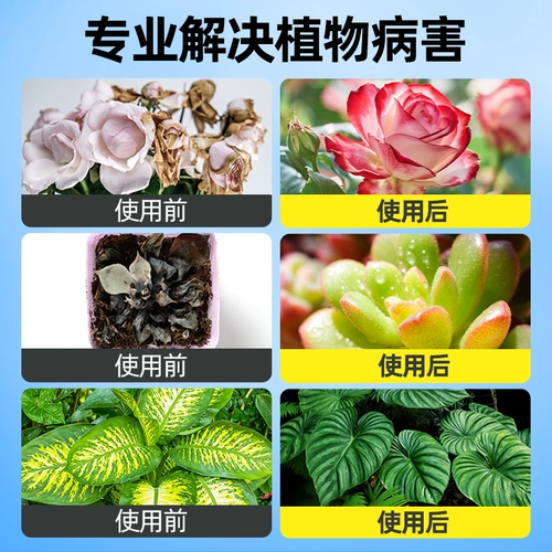 Растения бактерии, прозрачная пищевая жидкость, домашняя садовая микробиоплазма, антибактериальные цветочные удобрения