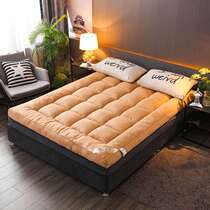 Mattress quilt thickened ultra-soft quilt bedding sponge one meter five eight mattress single 120 rental special 1 35