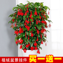 Flocking small red lantern bonsai pendant New New Year decoration Indoor scene arrangement Spring Festival mini potted small pendant