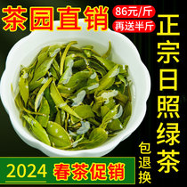 Sun Shine Green Tea 2024 New Tea Grade Bulk Yourself Drinking Board Chestnut Strong Aroma Bean Savour Fried Green Tea Gift Box