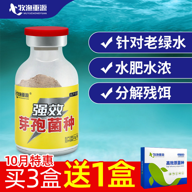 Bacillus subtilis Aquaculture probiotic Bacillus complex Bacillus purified water green water odorous powerful bacillus king