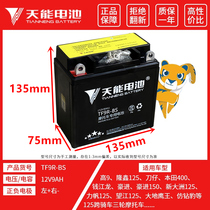 Tien Neng Motorcycle Battery 12v Haojue 125 General Dry Battery Haojue Motorcycle 125-7 Silver Leopard Battery