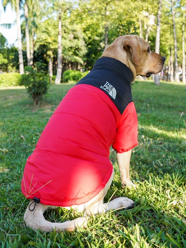 Демисезонный зимний пуховик с пухом, осенний сезон, подходит для подростков