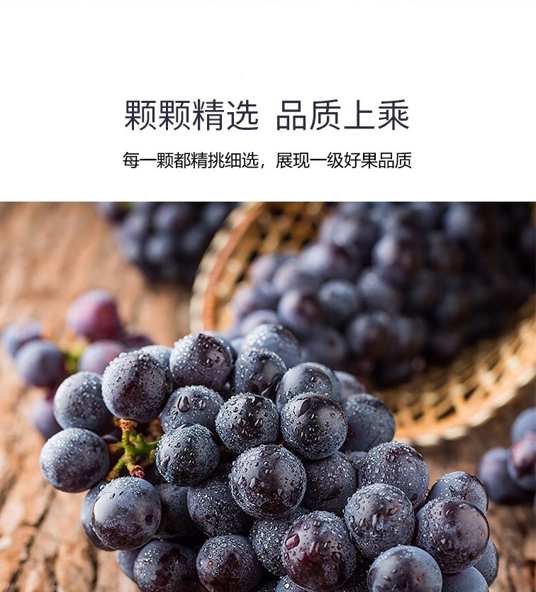 云南无籽夏黑葡萄 4斤 图3