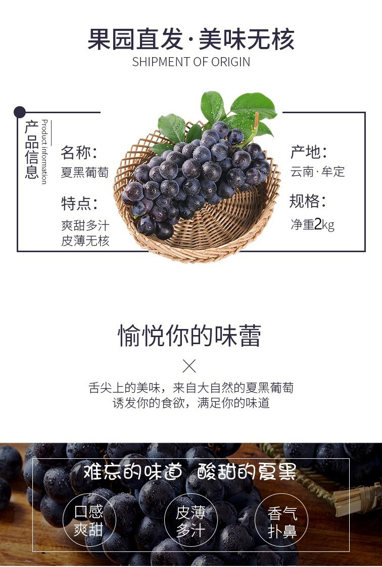 云南无籽夏黑葡萄 4斤 图2