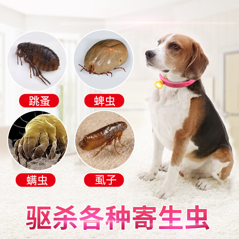 Cat Neck Reared Dog Insect Repellent Ring Insect Repellent Ring Cat Supplies Bell Peppers Deinsectization Dog Circle Pets to anti-flea
