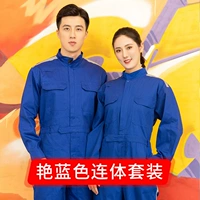 #307#Yanlan Color Whole Chotch