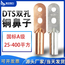 DTS35 50 70 95 120 150 185 240 square double hole copper nose terminal terminal eyewire ear