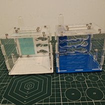 Rise of Ants Ant Nest Elf Second Generation Acrylic Bionic Nest