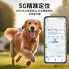 Dog Locator Pet Gps Collar Anti-Lost Tracking Device for Dogs Waterproof Tracking and Positioning Instrument
