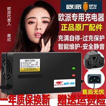 Efaction Electric Car Charger 48V60V20ah12ah72V original Lead-acid Triple Hole Intelligent Male Plug