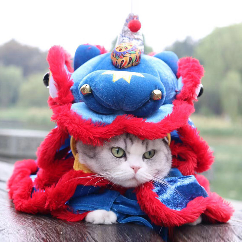 Cat lion dance, dog clothes, dress, dress up, dance lion, Teddy, joy, dog dance, dragon, Pet Net Red