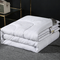 Silk quilt 100% mulberry silk quilt winter quilt with thickened warm cotton quilted by primary and secondary quilted by air conditioning by the core spring and autumn