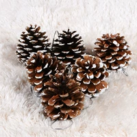 Сосновые конусы висят украшения (6 упаковок)