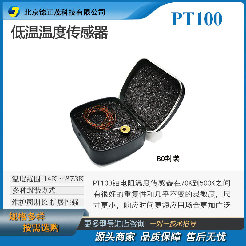 热电阻热电偶/Pt100温度传感器/PI封装-薄膜型铂电阻温度计