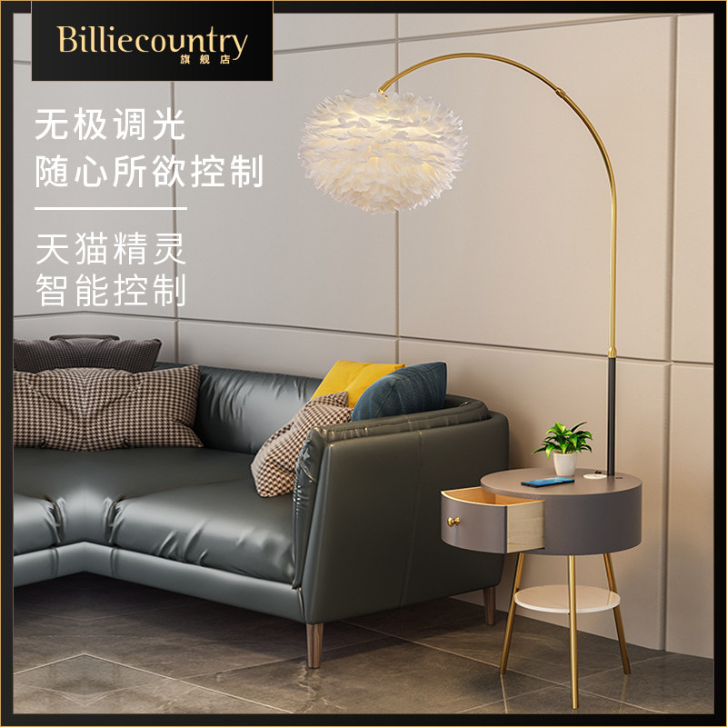 Floor lamp living room sofa side coffee table rack net red feather lamp creative Nordic light luxury bedroom bedside table lamp