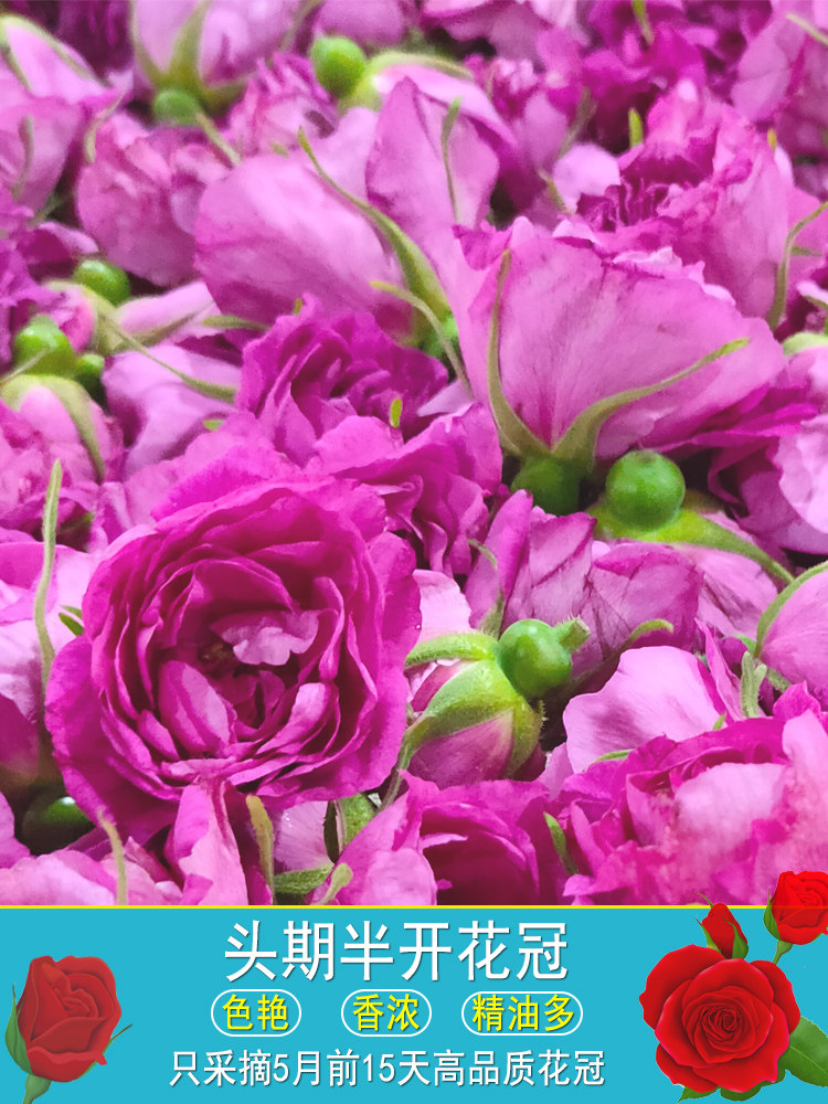 Pingyin rose tea double petal rose dried rose dried flower tea edible rose corolla tea