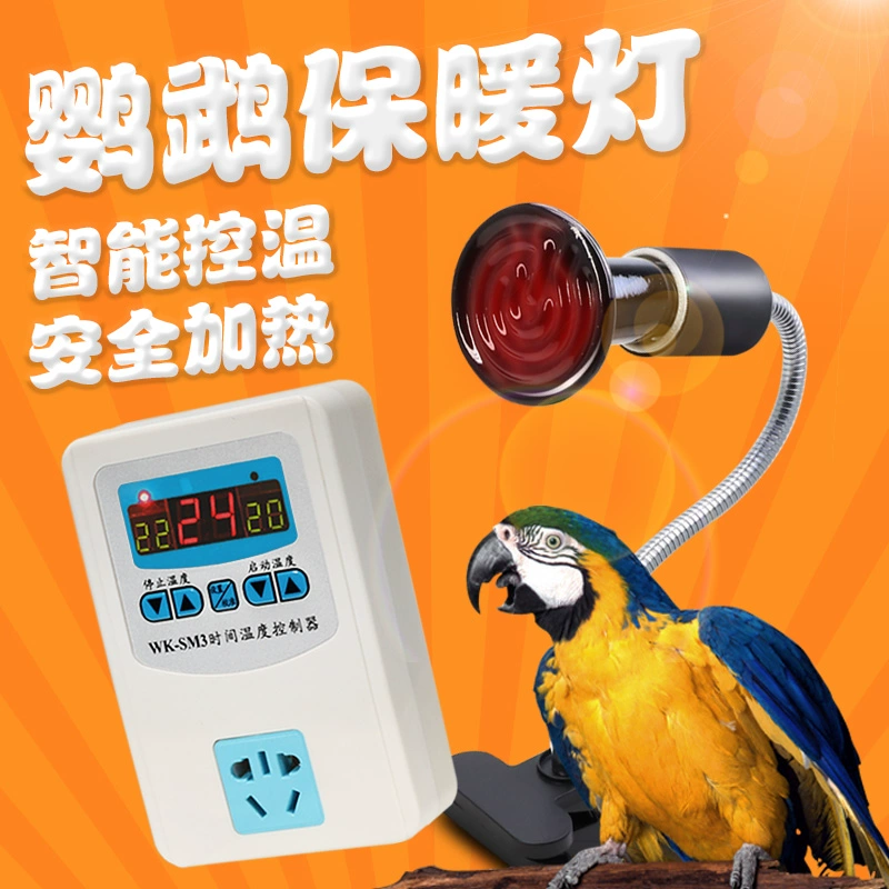 Cockatiel có ánh sáng ấm áp với lồng ấp sưởi để sưởi ấm và nhiệt độ không đổi ổ cắm đèn gốm ấm áp dụng cụ mùa đông - Chim & Chăm sóc chim Supplies