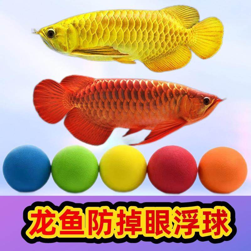 Dragon fish anti-fall eye fish tank teasing fish Divine Instrumental Toy Floating Ball Aquarium Decoration Golden Red Dragon Fish Suspended Ball-Taobao
