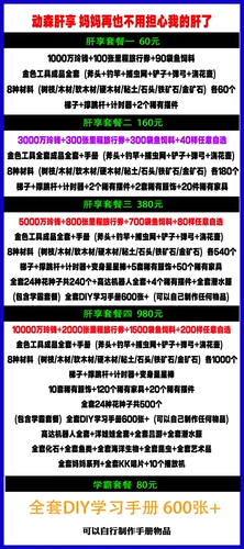 Переключить животные Mori Friends переместят билеты на воздушные билеты Mori 10 Yuan 400, чтобы подсчитать ваучеры, чтобы доставить товары на островную кисть Материал Мебель для маленьких животных