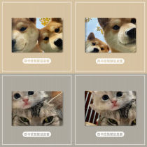 Cute Cute Cute Kitty Car Drivers License Protective Sheath Leather Sleeve Motor Vehicle Driving License Drivers License This Document Two-in-one
