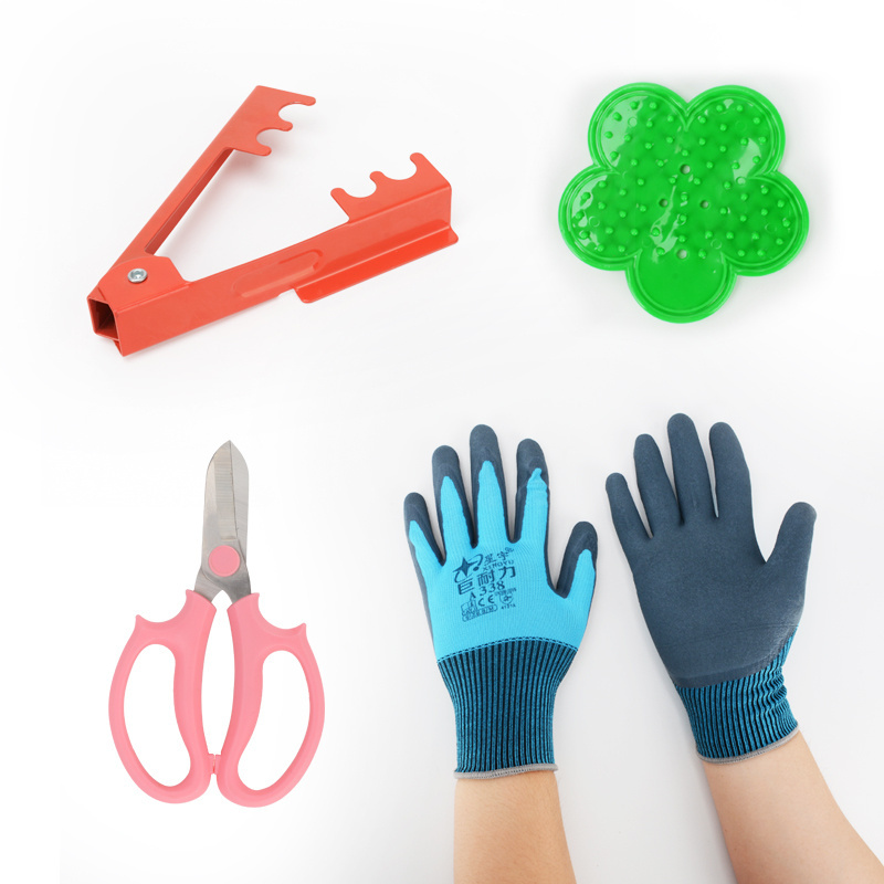 Floral professional gardener dealing with bayonets cacti Divine Instrumental Stings prune roses to piercings and prickly chop quickly