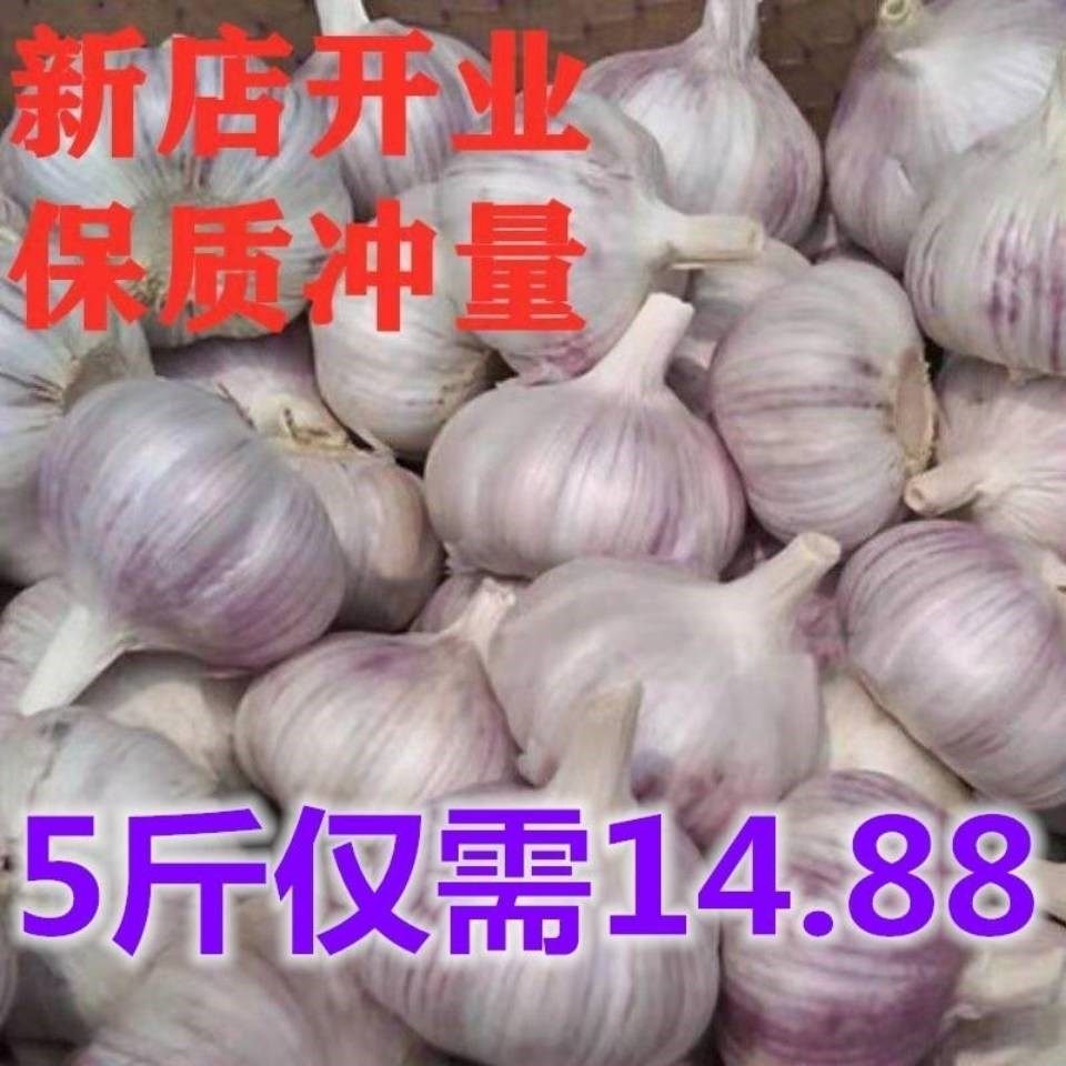 Shandong 2020 new dry head 5 kg of dried garlic purple skin dried garlic 5 kg of white skin garlic farmer garlic aloe vera edible agricultural products