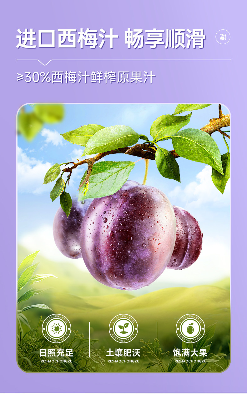 【中国直邮】 江中集团 江中西梅汁 减脂排便 孕妇可用 5支/盒