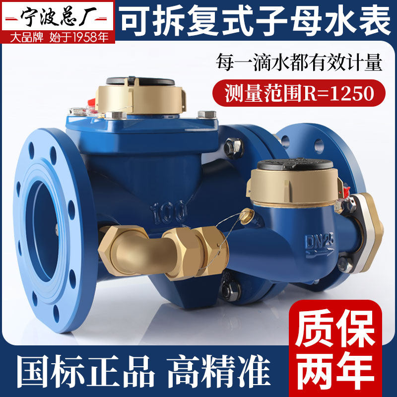 Ningbo Total factory card duplex water meter detachable screw-wing flange primary-secondary water meter DN50 ~ 200LXF-50 ~ - Taobao